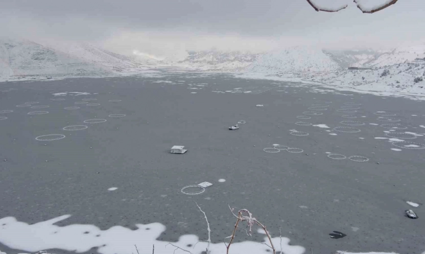 Adıyaman'da Çat Barajı'nın yüzeyi buz tuttu