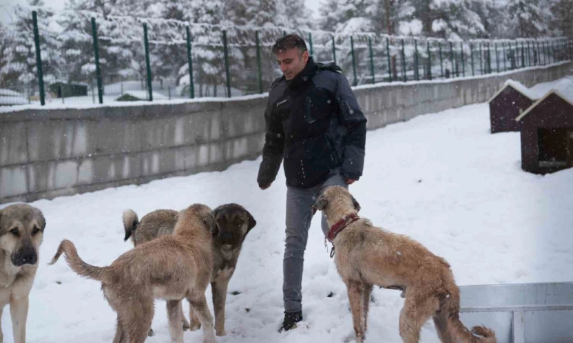 Battalgazi'de Malatya'nın ikinci hayvan barınağı hizmete başladı