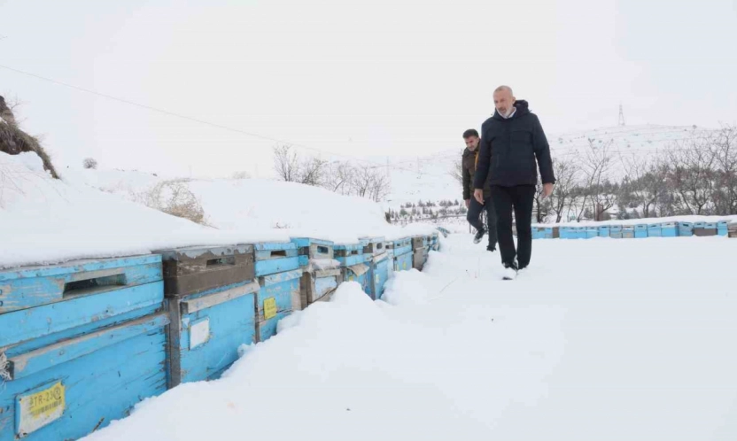 Arıcılar sezonundan ümitli