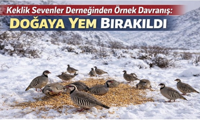 Keklik Sevenler Derneğinden Örnek Davranış: Doğaya Yem Bırakıldı