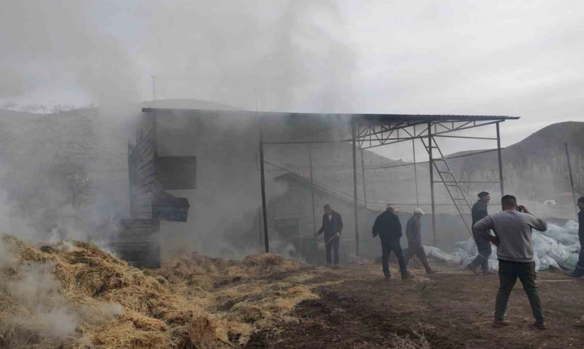 Besi çiftliğinde yangın