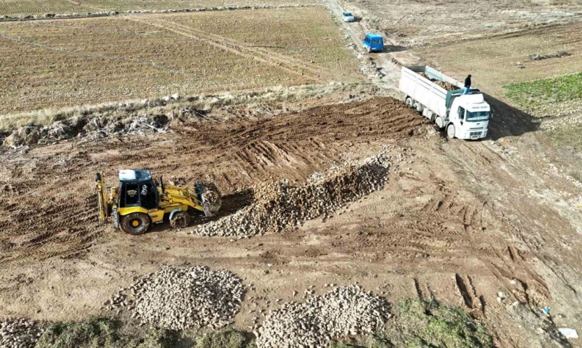 Yüksek verim çiftçinin yüzünü güldürdü