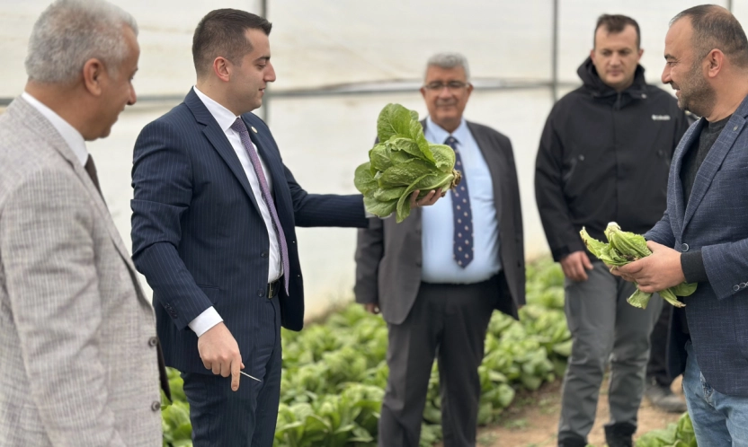 Yazıhan'da Öğrencilerden Örnek Tarım Çalışması: Serada Marul Hasadı