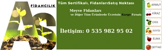 As Fidancılık
